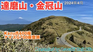 【達磨山・金冠山ほか 縦走登山】Kazu氏600座は伽藍山、ナイスG700座は古稀山で！絶景稜線歩きで全7座縦走でっす！　2024年4月