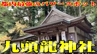 【開運】東京都内No.1パワースポット”九頭龍神社”をお散歩!!