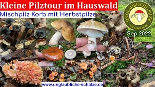 Kleine Pilztour im Hauswald - toller bunter Mischpilzkorb - Es pilzt so richtig im Wald!  Sep 2022