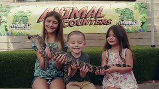 Experience the best Everglades Airboat Tour, Gator Boys Alligator Rescue Show, and Animal Encounters