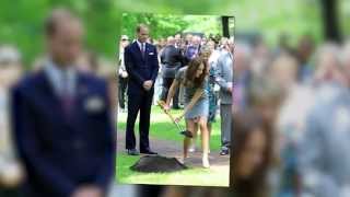 Celebrate Earth Day With The Greenest Celebs in Hollywood | Splash News TV | Splash News TV