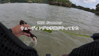 【沖縄】【ルアー】午前中のみ4時間釣行でウェーディング。いつもの調子でターゲットは決めず気ままな感じで行ってきた。