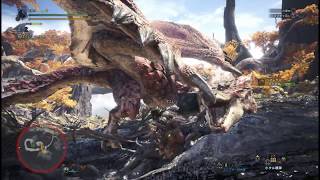 MHWβ ハンマーソロ リオレウス\u0026アンジャナフ討伐前編