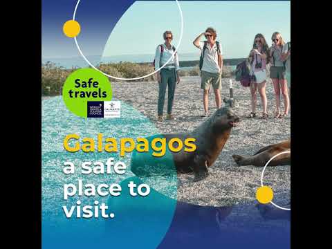 Are the Galapagos safe?