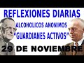 reflexiones diarias de alcoholicos anonimos 29 de noviembre guardianes activos