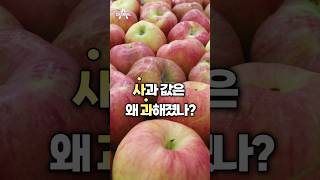 사과 값은 왜 과해졌나? / 채널A #shorts