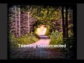 The Flashbulb - Teeming Disconnected