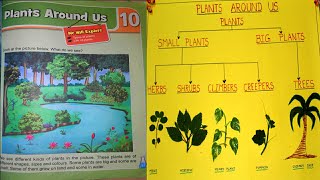 Science Project | Plants Around Us | Types of Plants | CBSE Class2 HERBS SHRUBS CREEPERS CLIMBERS
