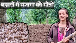 Pahadi Village Lifestyle🏞🌲 ||राजमा की खेती😍|| #vlog5||#girlfrompahad