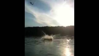 Rope Swing CT