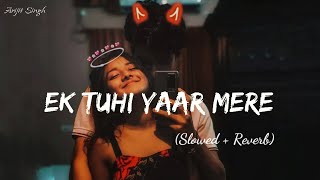 Ek Tuhi Yaar Mera (Slowed + Reverb) 💖💞| Arijit Singh And Neha Kakkar #lofi #song