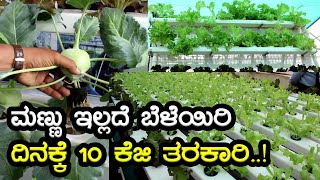 ಮಣ್ಣು ಇಲ್ಲದೆ ಬೆಳೆಯಿರಿ ದಿನಕ್ಕೆ 10 ಕೆಜಿ ತರಕಾರಿ..! | Hydroponic | gkvk | Pratikshana news