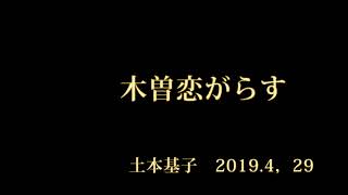 木曽恋がらす　カバー土本基子