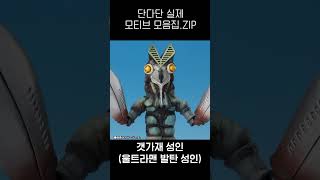 단다단 실제 모티브 모음집.ZIP #단다단 #shorts