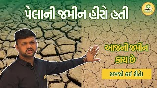 પેલાની જમીન કેવી હતી?, જમીન ફળદ્રુપ કેવી રીતે બને? પેલાની જમીન અને આજની જમીન