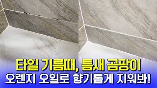 언제까지 머리에만 린스를 쓸 거야! 화장실도 린스를 쓸 수 있어!