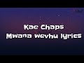 @kaechapsvevo6766 - Mwana wevhu lyrics powered by @ZebTsikira