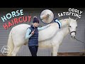 HORSE HAIRCUT | Clipping my horse MYSELF! Oddly Satisfying | This Esme