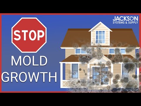 How do you stop mold from growing?