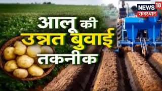 Annadata | Potato Farming | आलू की खेती की पूरी जानकारी, कैसे कम करें लागत और कमाएं ज्यादा मुनाफा