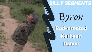 Red-crested Korhaan Display Dance with Byron