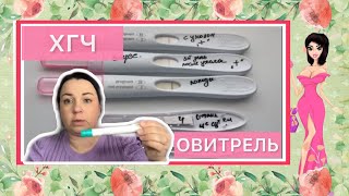 📍Как выходит гормон 🤰🏻ХГЧ