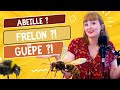 Abeilles, Frelons, Guêpes et Bourdon: Comment on RECONNAIT ?!