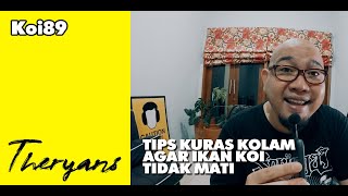 THE RYANS : Cara Kuras Kolam Yang Benar Supaya Ikan Koi Tidak Mati (Penting)