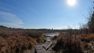 Finding a abandoned cranberry bog while trail riding Honda crf 250L