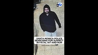 Santa Monica police searching for suspect in fatal hit-and-run