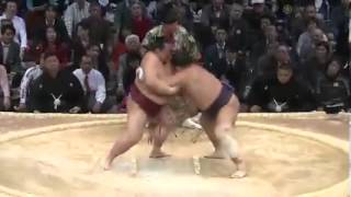 O1e Kisenosato vs S1w Tochiozan