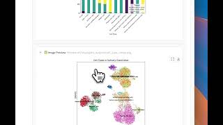 Biomni example: scRNA-seq annotation