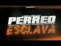 PERREO ESCLAVA ✨- Lauty Deejay (COMO TE MAL - TRATO TIKTOK)