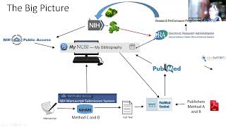 MyNCBI / My Bibliography Publications and TG RPPR