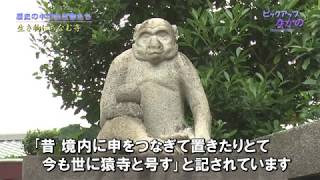 ピックアップなかの第63回2019年8月1日～9月30日放送「歴史の中の生き物たち」