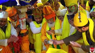 Basant Celebrations 2020 at Dargah Nizamuddin Aulia