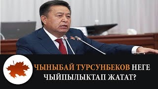 Чыныбай Турсунбеков неге чыйпылыктап жатат?