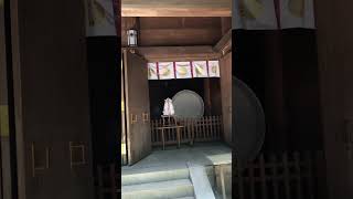 【天岩戸神社　高千穂峡パワースポットぶらり旅】高千穂峡　木漏れ日が神々しい　宮崎県