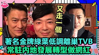 香港娛樂八卦新聞丨又走一個！著名金牌綠葉低調離巢TVB，常駐內地發展轉型做網紅丨