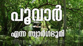 🚤 Poovar Backwater Boating Guide | Rates Timings Attractions, and Floating Villas | Kerala Tourism 🌴