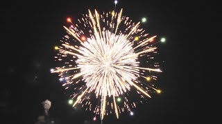 【2024】第10回いせはら芸術花火大会 「単発打上花火」【Isehara Fireworks】