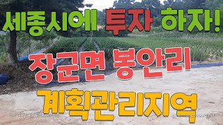 (거래완료)세종시 토지에 투자하자!  장군면 봉안리 계획관리지역 420평