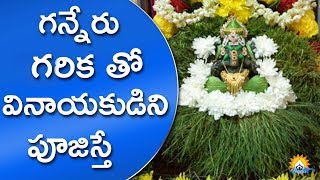 గన్నేరు, గరిక తో వినాయకుడిని పూజిస్తే || Advantages Of Worshiping Ganapathi with Garika and Ganneru