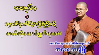 မာတုဂါမနဲ့မှောက်မှားမိတဲ့ဘုန်းကြီးကို ဘယ်လိုဆောင်ရွက်ရသလဲ - မဟာဝိဟာရကျောင်းတိုက်ဆရာတော်နှင့်အမေးအဖြေ