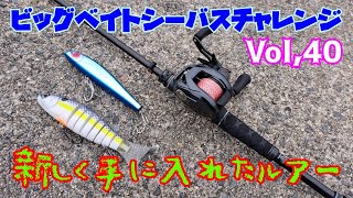 【ビッグベイトシーバスチャレンジ Vol,40】新しく買ったルアーを投げてみると起こること