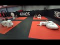 brazilian jiu jitsu classes live stream