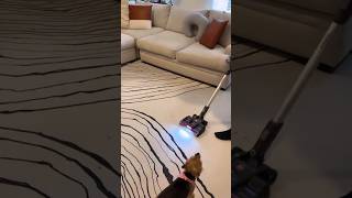 The perfect vacuum for your everyday messes. #hoover #ONEPWR #batteryoperated #cordlessvacuum