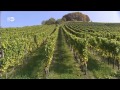 Franconia y sus vinos: tres sugerencias | Destino Alemania