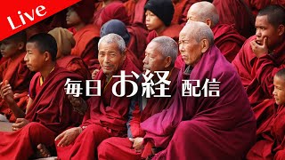 【疲れた心に癒しの時間を】毎日お経配信  40日目  仏教 浄土宗 / Everyday buddhism chanting  for peace