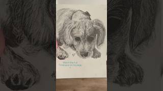 Watch the full video!!! Day 372 painting until I go viral #art #drawing #goviral #dog #puppy #sketch